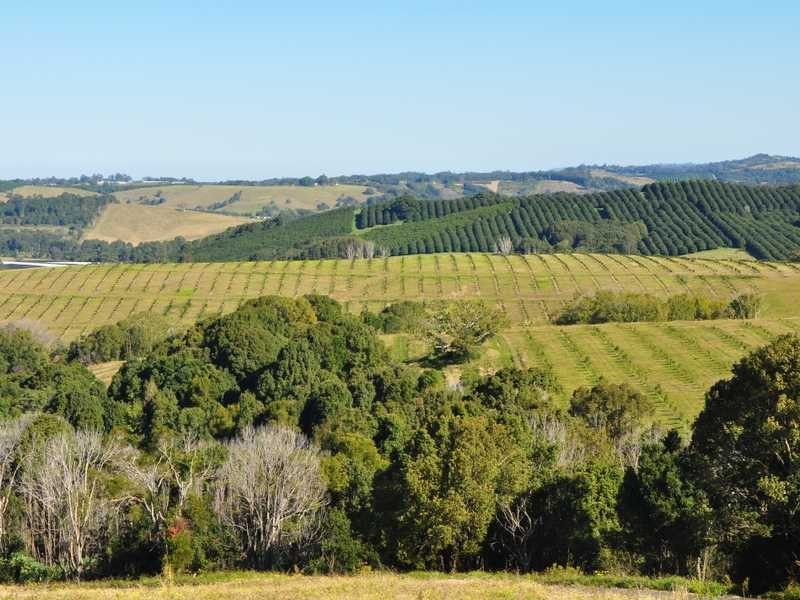 Lot 2 Pacific Highway, Bangalow NSW 2479