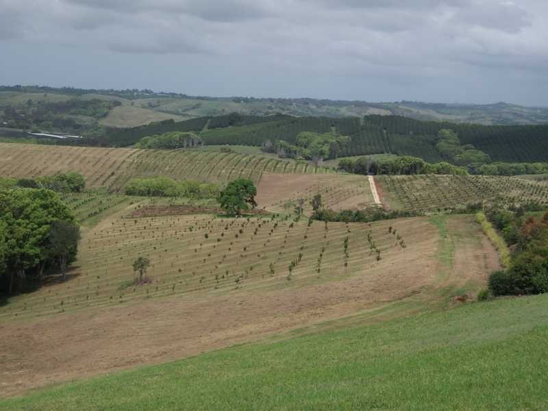 Lot 2 Pacific Highway, Bangalow NSW 2479