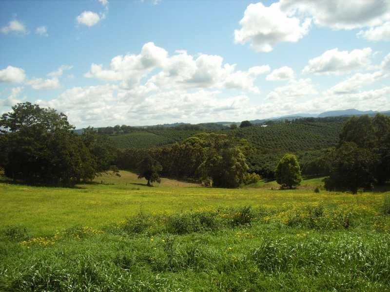 Munro Rd, Dunoon NSW 2480