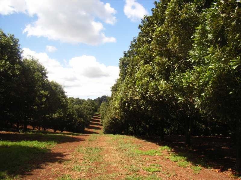 Munro Rd, Dunoon NSW 2480