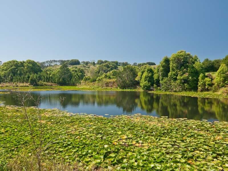 Lot 102 Pacific Highway, Bangalow NSW 2479