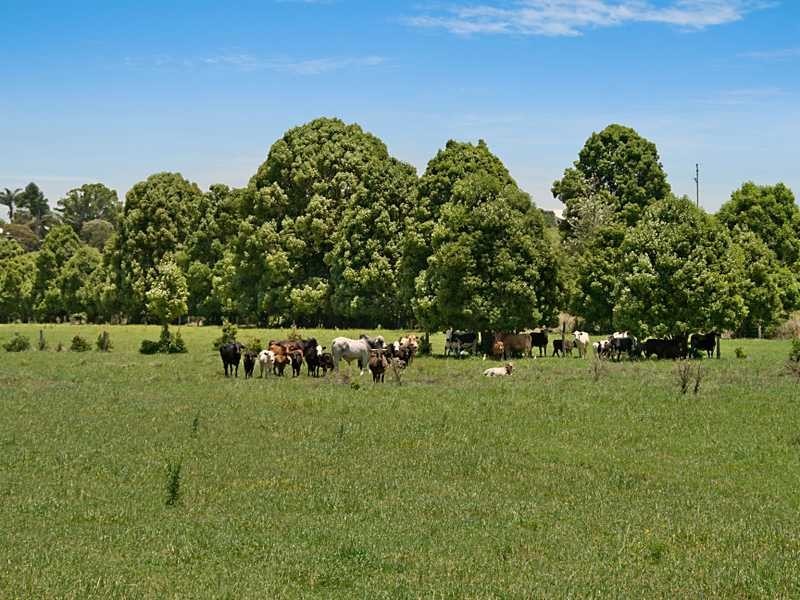 363 Eltham Road, Eltham NSW 2480