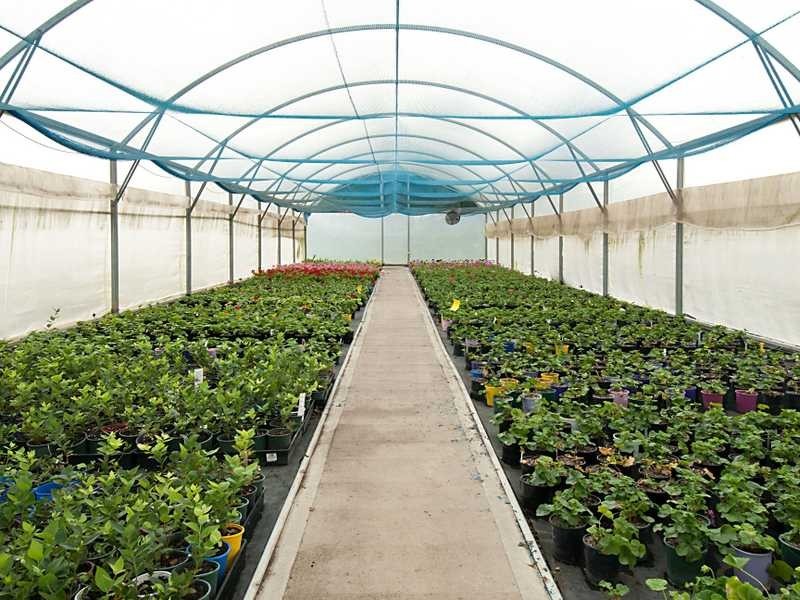 964 Bruxner Highway, Mckees Hill NSW 2480