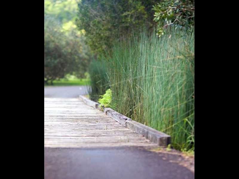951 Broken Head Road, Byron Bay NSW 2481