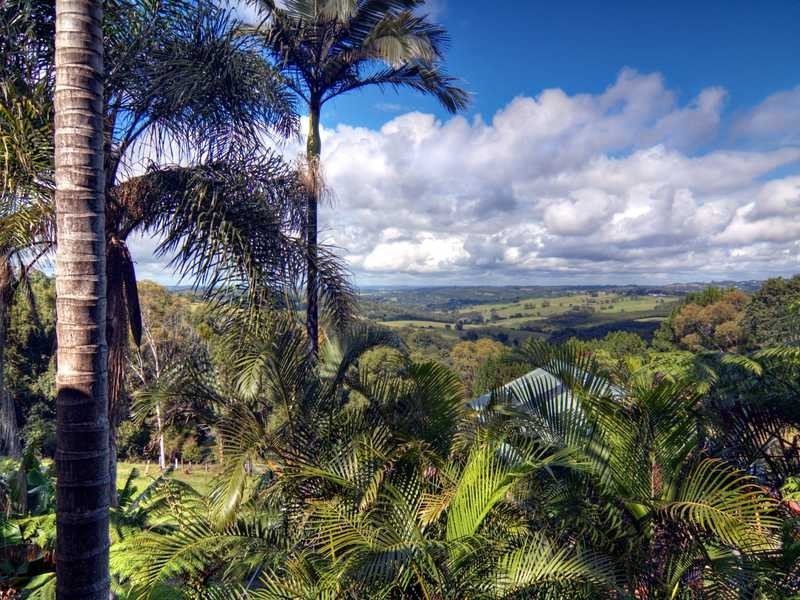 497 Coolamon Scenic Drive, Coorabell NSW 2479