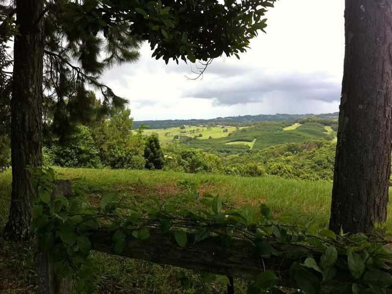 497 Coolamon Scenic Drive, Coorabell NSW 2479