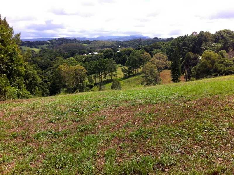 497 Coolamon Scenic Drive, Coorabell NSW 2479