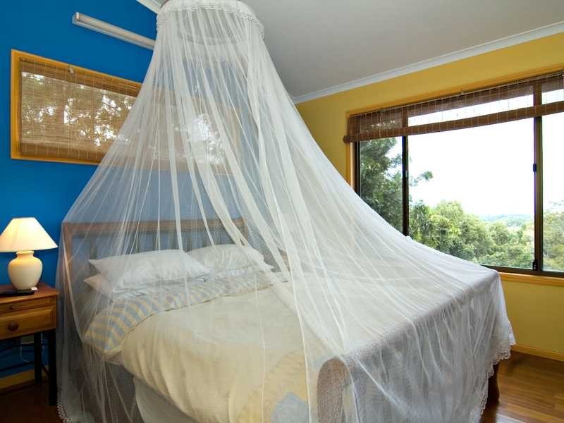 497 Coolamon Scenic Drive, Coorabell NSW 2479