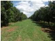 109 The Channon Road (Lot 1), Dunoon NSW 2480