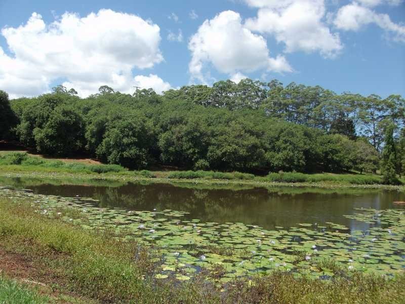 109 The Channon Road (Lot 1), Dunoon NSW 2480