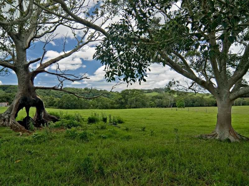 Lot 206 Lismore Road, Bangalow NSW 2479