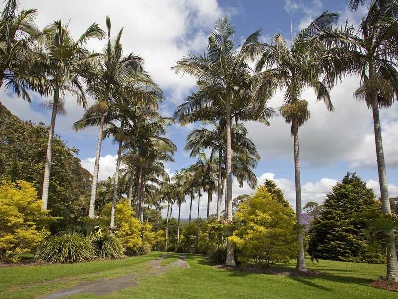 231 Goremans Road, Eureka NSW 2480