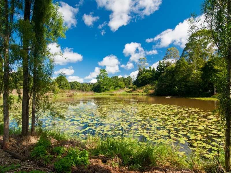 Lot 1/186 Eureka Rd, Eureka NSW 2480