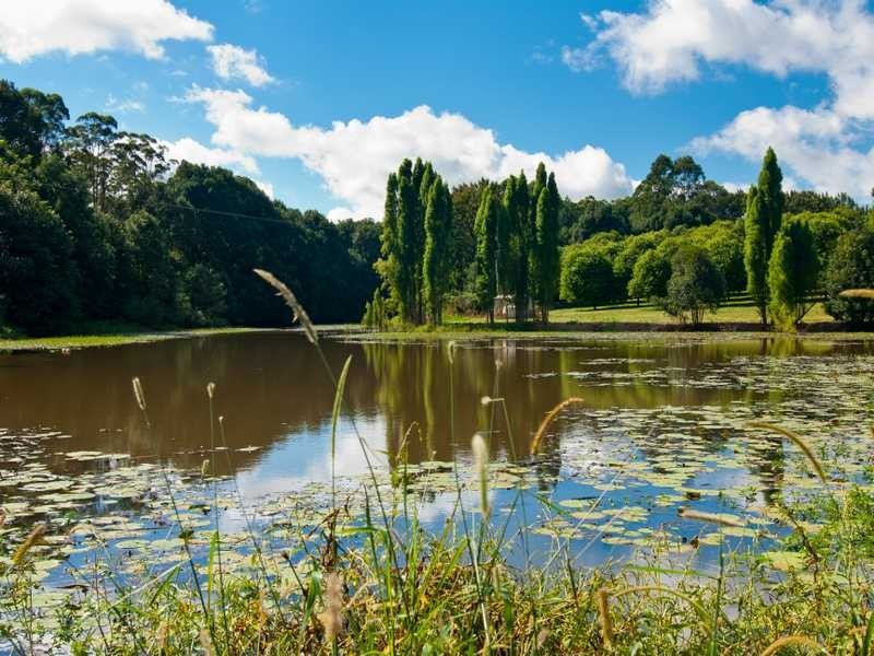 Lot 1/186 Eureka Rd, Eureka NSW 2480