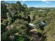 716 Coopers Shoot Road, Bangalow NSW 2479