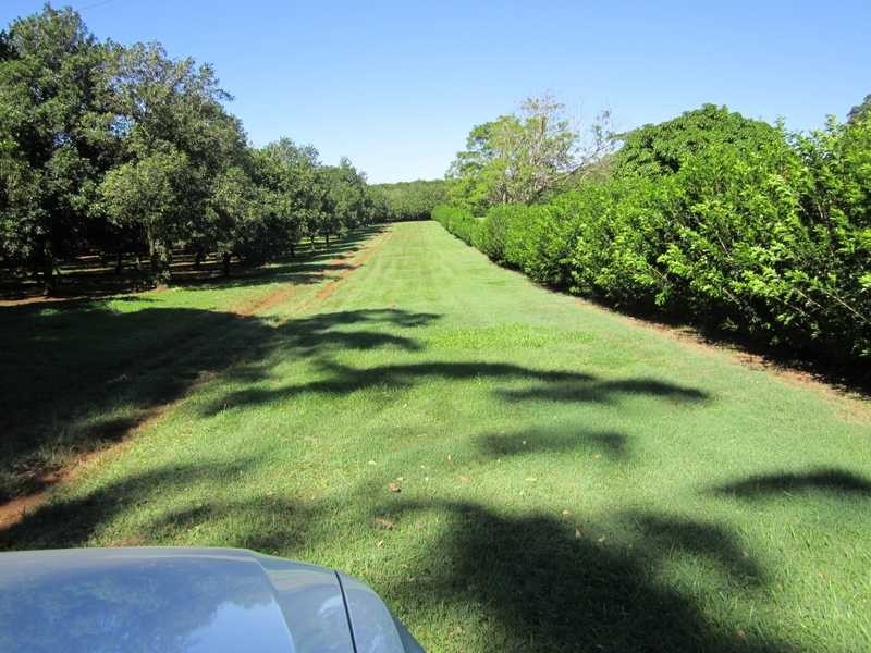 202 Federal Drive, Federal NSW 2480