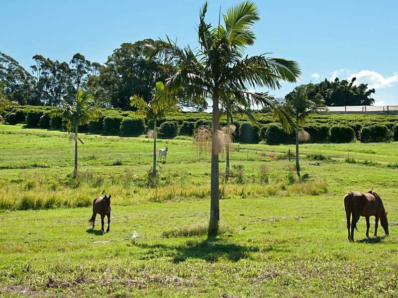 1741 Pacific Highway, Knockrow NSW 2479