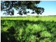 41B Eltham Road, Bexhill NSW 2480