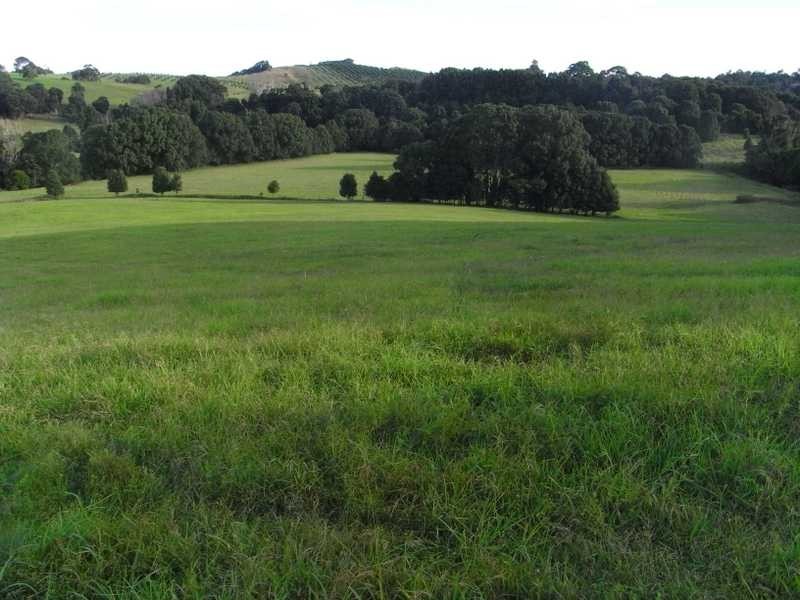 Lot 2 Lismore Road, Nashua NSW 2479