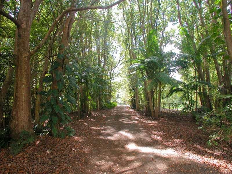 27 Weemala Lane, Federal NSW 2480