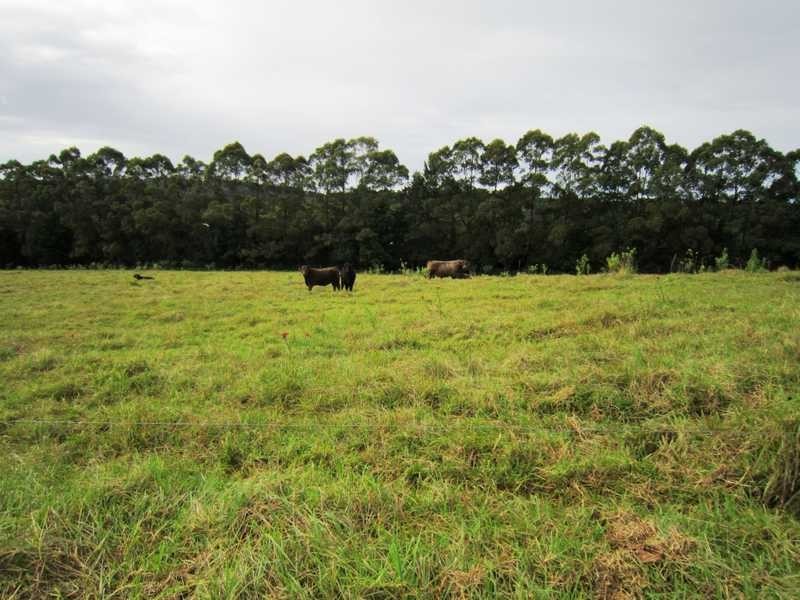 1400 Bangalow Road, Clunes NSW 2480