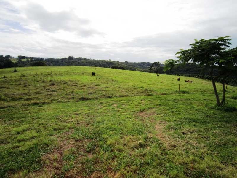 1400 Bangalow Road, Clunes NSW 2480