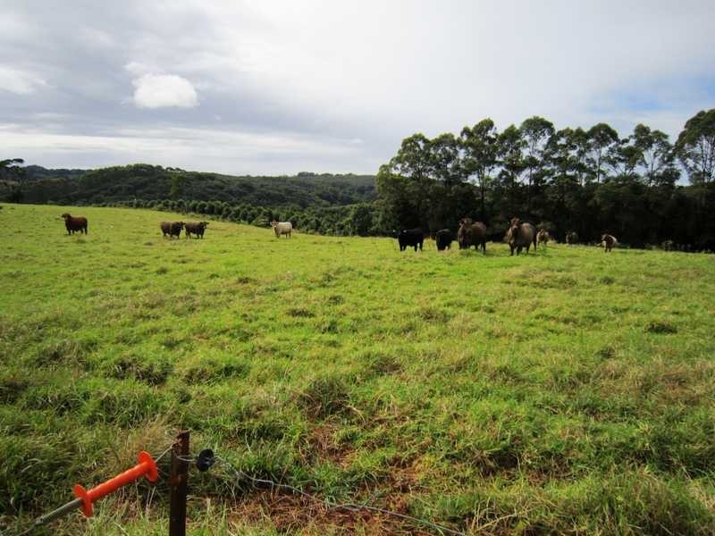 1400 Bangalow Road, Clunes NSW 2480