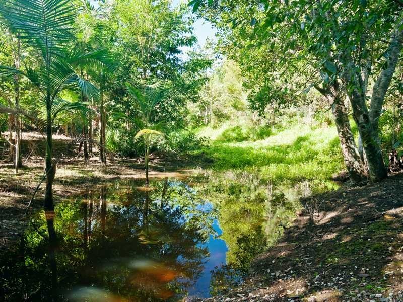 125 Main Arm Road, Mullumbimby NSW 2482