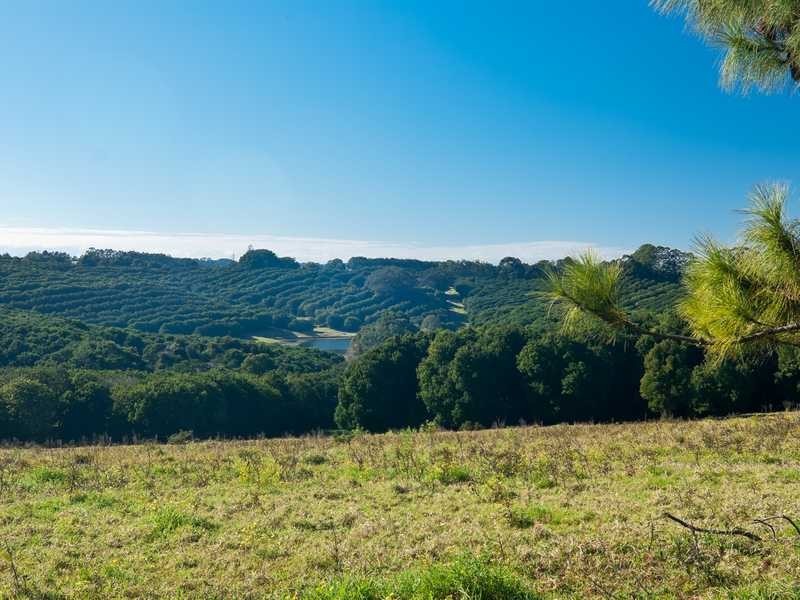 864 Fernleigh Rd, Brooklet NSW 2479