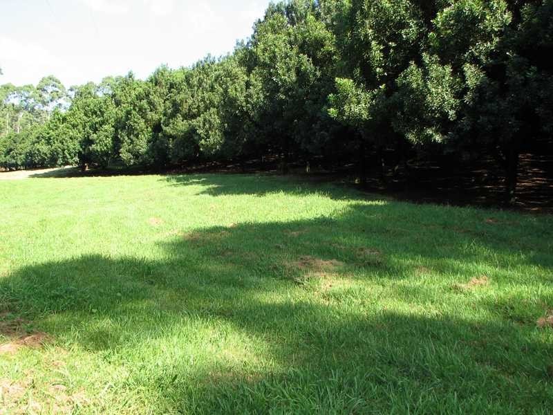 783 Fernleigh Road, Brooklet NSW 2479