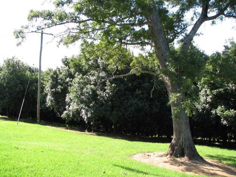 783 Fernleigh Road, Brooklet NSW 2479