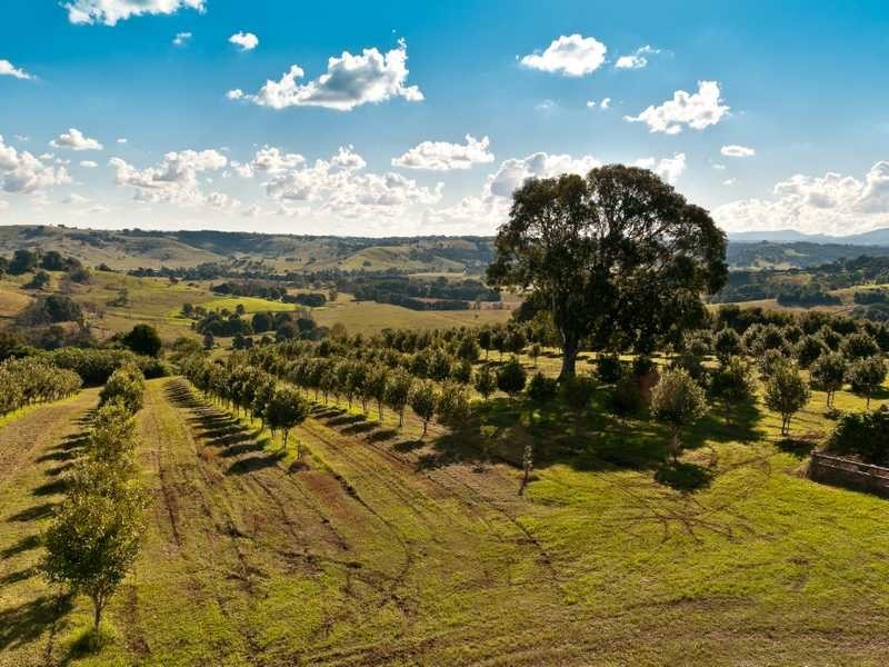 1344 Bangalow Road, Clunes NSW 2480