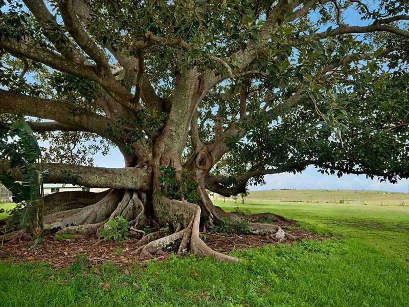 12 Old Byron Bay Road, Newrybar NSW 2479