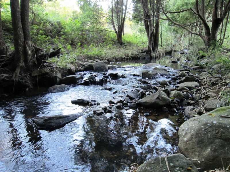 17 Ballina Road, Bangalow NSW 2479