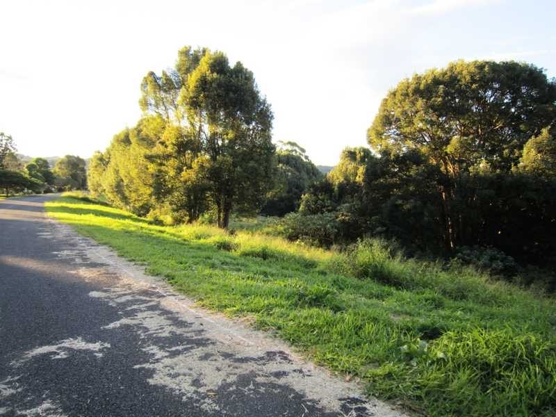 17 Ballina Road, Bangalow NSW 2479