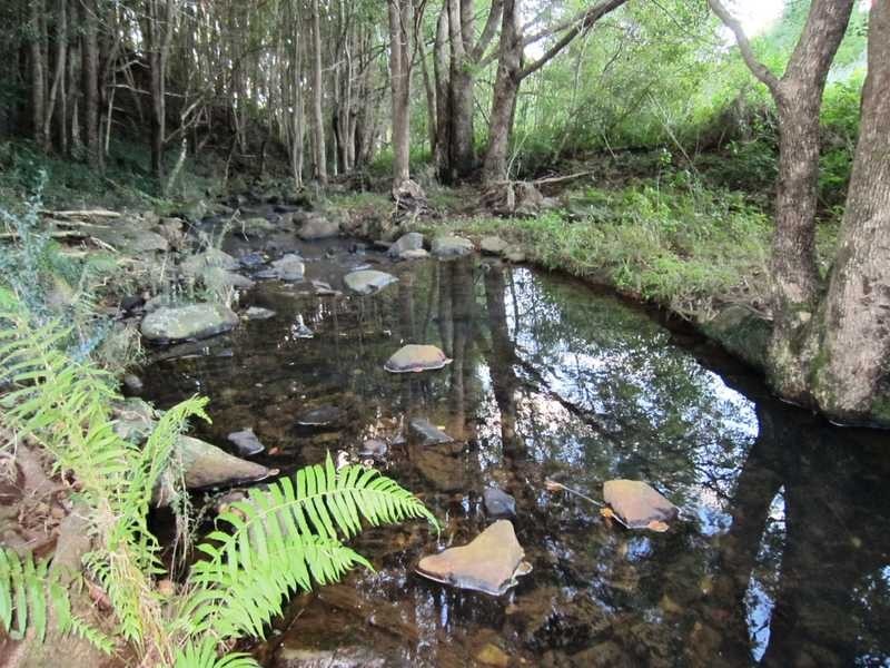 17 Ballina Road, Bangalow NSW 2479