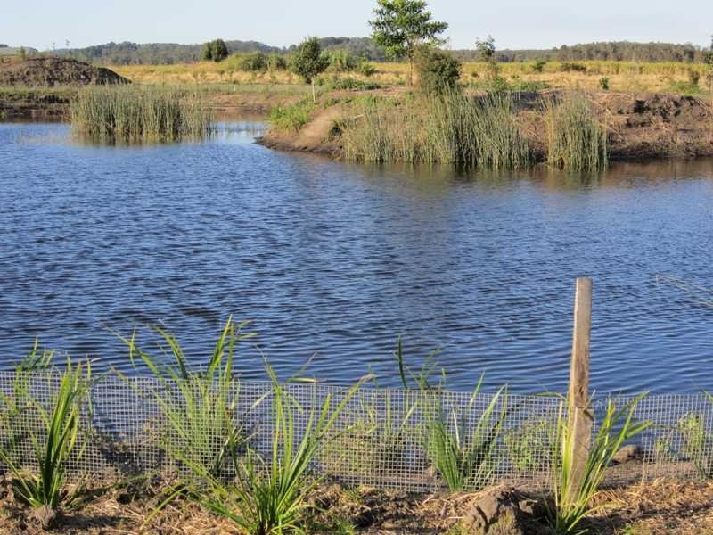 Lot 11 Newrybar Swamp Road, Lennox Head NSW 2478