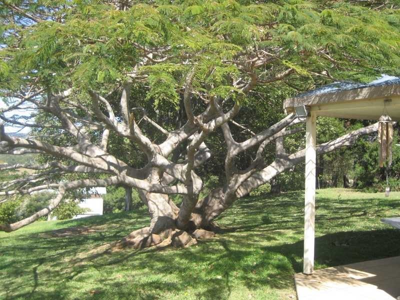 204 The Manse Road, Myocum NSW 2481