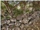 1281 Lismore Road, Clunes NSW 2480