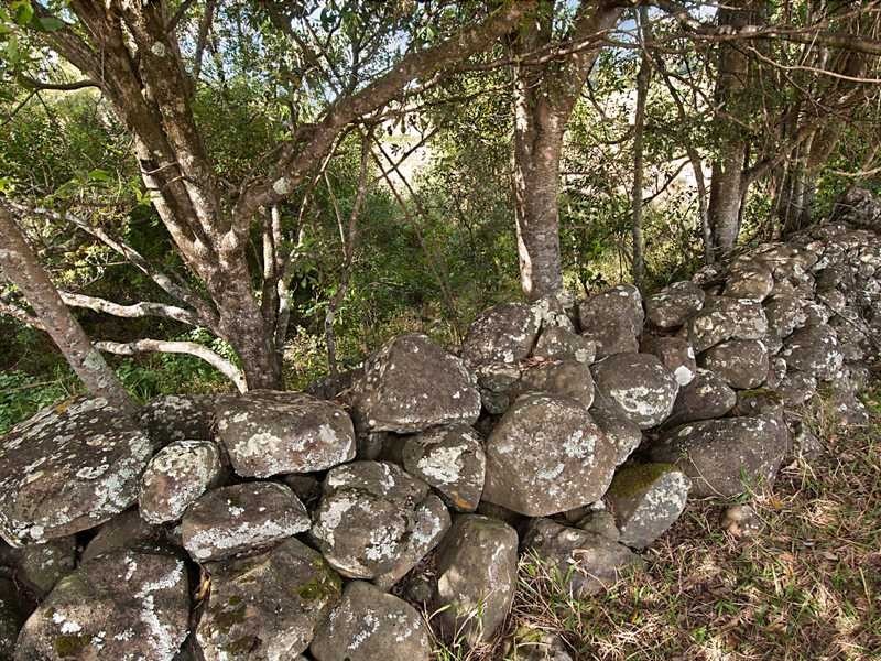 1281 Lismore Road, Clunes NSW 2480