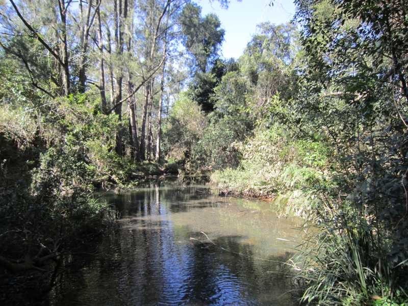 162 Blue Knob Road, Nimbin NSW 2480