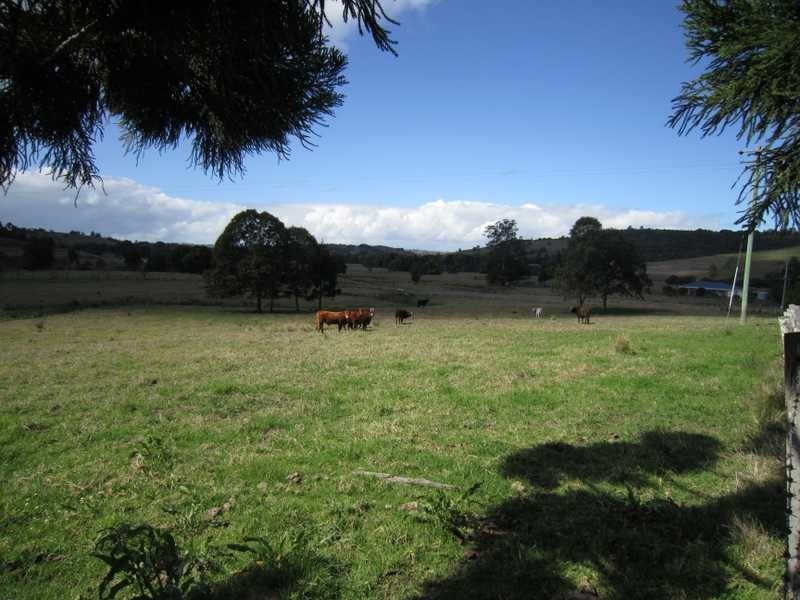 98 Cross Road, Numulgi NSW 2480