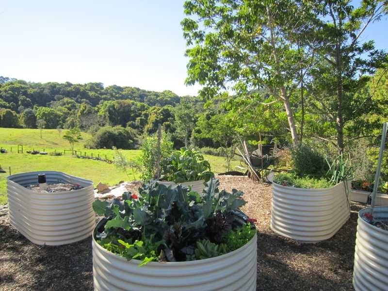 84 Armstrong Road, Rosebank NSW 2480