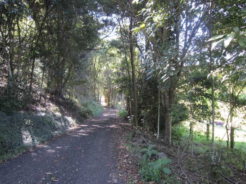 84 Armstrong Road, Rosebank NSW 2480