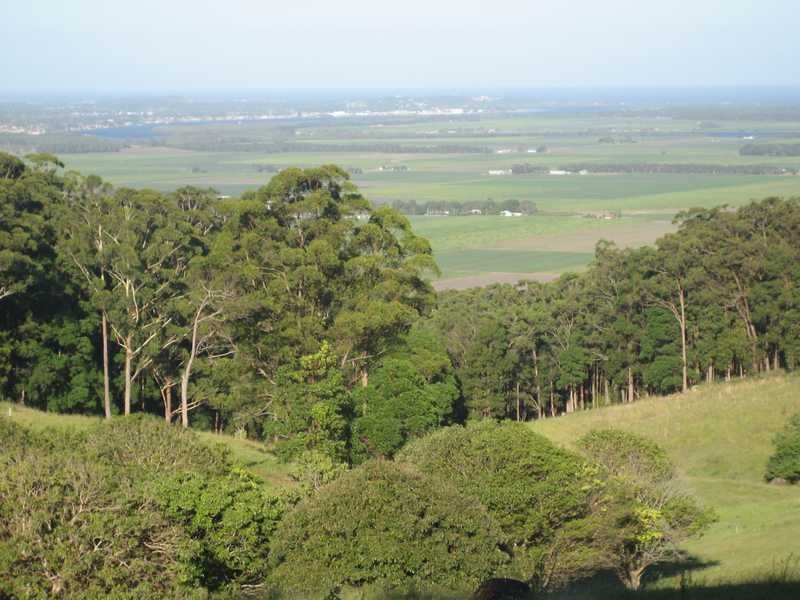 442 Coolgardie Road, Coolgardie NSW 2478