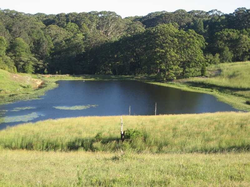 442 Coolgardie Road, Coolgardie NSW 2478