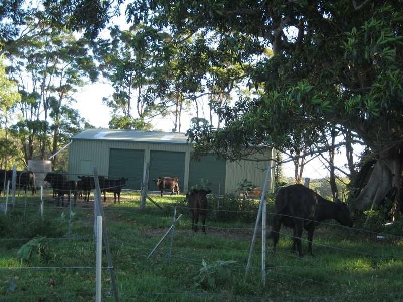 442 Coolgardie Road, Coolgardie NSW 2478