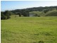 442 Coolgardie Road, Coolgardie NSW 2478