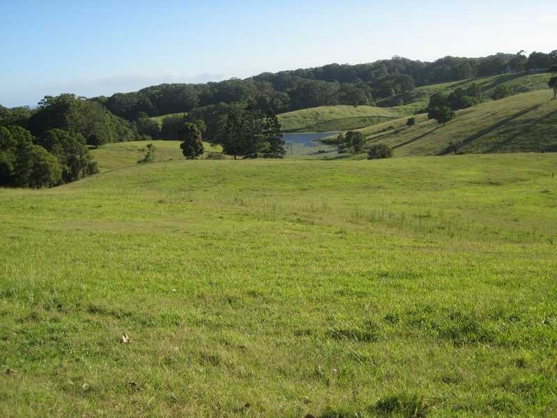 442 Coolgardie Road, Coolgardie NSW 2478