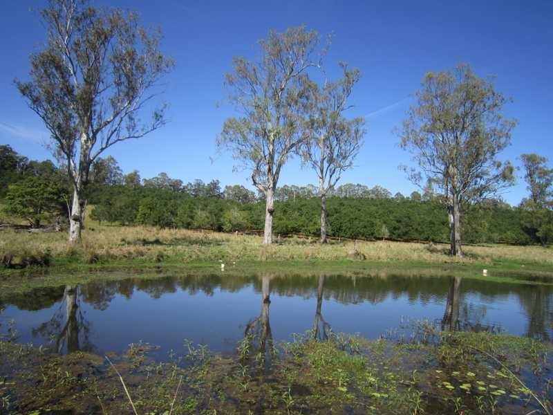 403 Fredericks Road, Caniaba NSW 2480